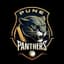 Pune Panthers Flag