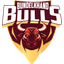 Bundelkhand Bulls Flag