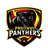 Pruthvi Panthers-logo