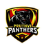 Pruthvi Panthers Flag