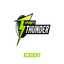Sydney Thunder Academy Flag