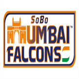 Team logo