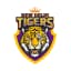 New Delhi Tigers Flag