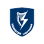 Leinster Lightning Flag