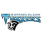Matabeleland Tuskers Flag