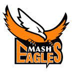 Team logo